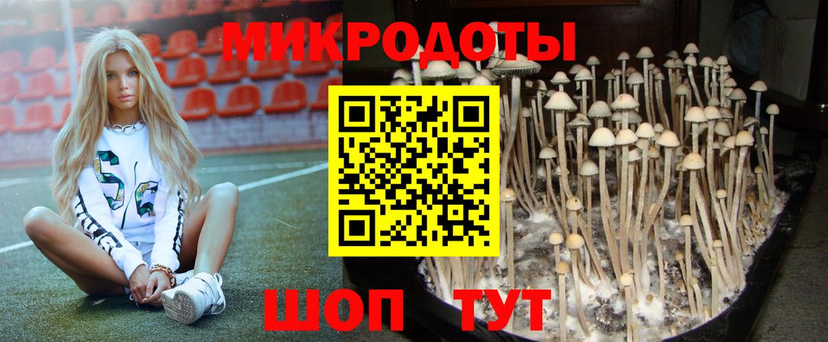 Псилоцибиновые грибы Psilocybine cubensis  Вход с VPN  Галлюциногенные грибы мицелий  Аша 