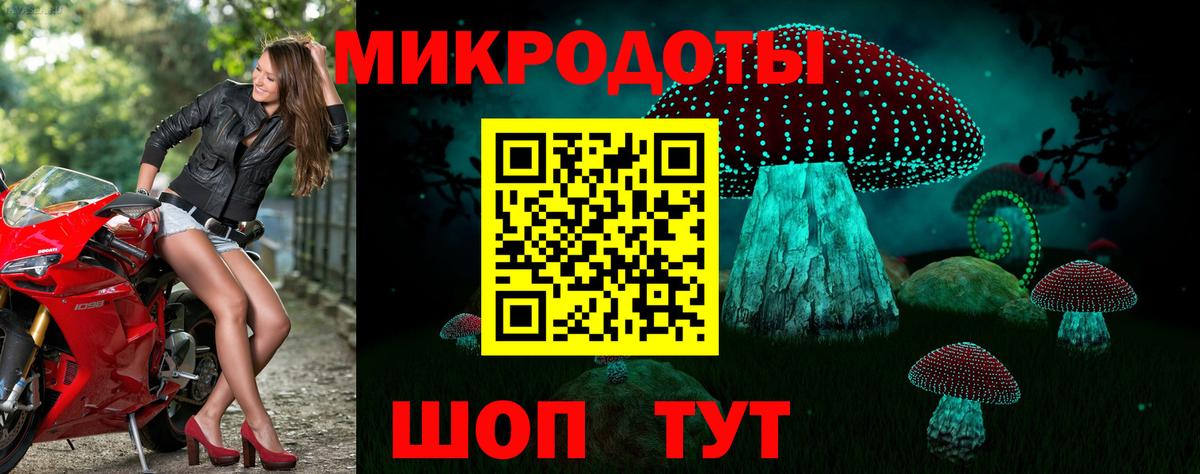Псилоцибиновые грибы мухоморы Аша